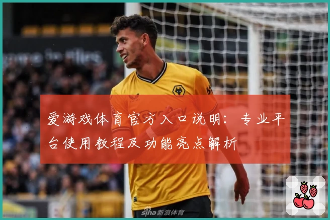 爱游戏体育官方入口说明：专业平台使用教程及功能亮点解析
