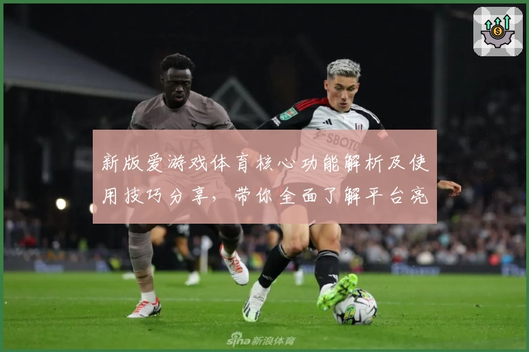 新版爱游戏体育核心功能解析及使用技巧分享，带你全面了解平台亮点